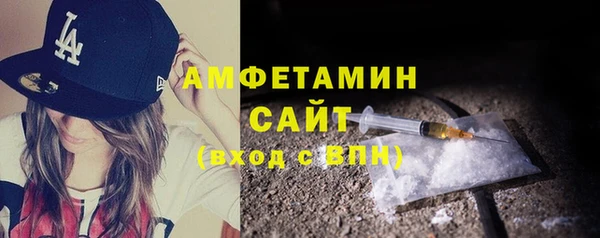 твердый Ельня