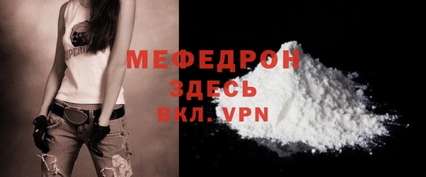 твердый Ельня