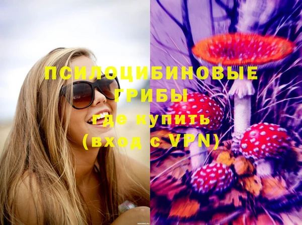 твердый Ельня