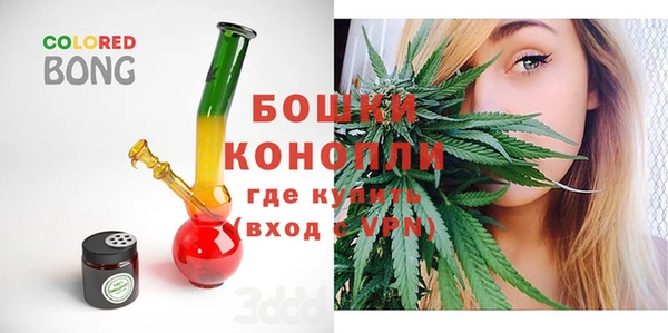 твердый Ельня