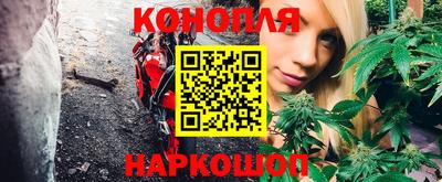 стаф Донской