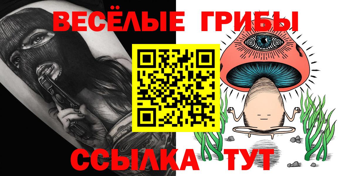 Псилоцибиновые грибы Cubensis  Галлюциногенные грибы MAGIC MUSHROOMS  где купить   Зеленодольск 