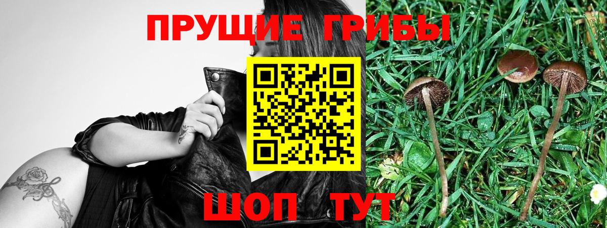 Галлюциногенные грибы Cubensis  Галлюциногенные грибы Psilocybine cubensis  Зеленодольск  Вход с VPN 